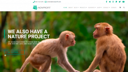 Nonprofit Tema