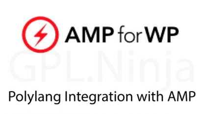 Polylang Integration with AMP