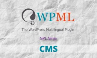 Descargar WPML plugin