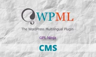 Descargar WPML plugin