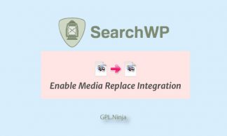 Plugin SearchWP enalble media replace integration