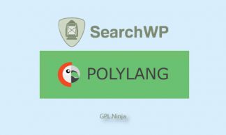 Plugin SearchWP polylang