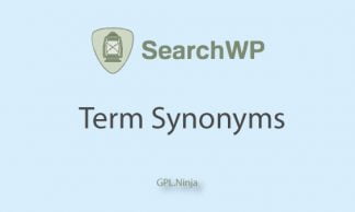 Plugin SearchWP term synonyms