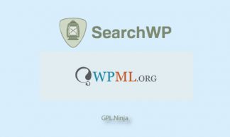 Plugin SearchWP wpml
