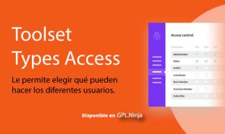 Toolset Types Access