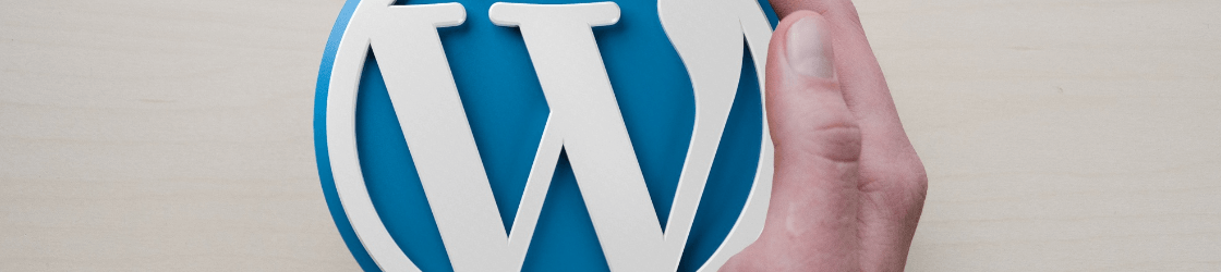 Themes Premium de Wordpress