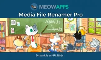Media File Renamer Pro