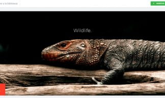 Photography Wildlife Page