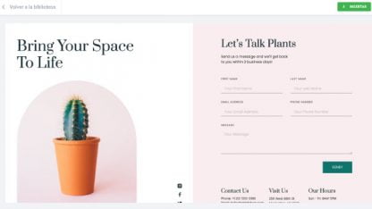 Contact Page Plants